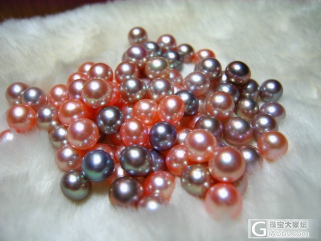 超漂亮天然彩色珍珠大量到货 可订制