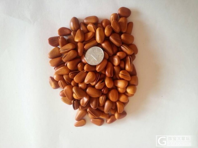 有想买松子的姐妹吗?照片跟价格都来了,跪求团