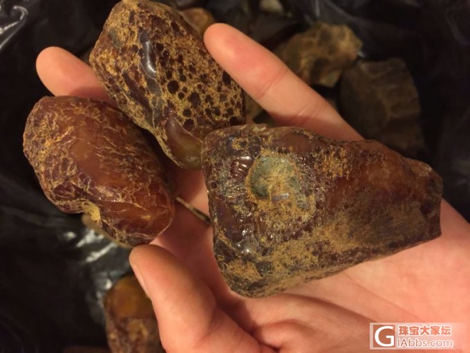 乌料!刚从矿里拿出来的石头,自己就抢到这些!晒晒!